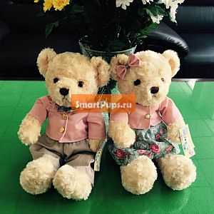  () 30  Kawaii Teddy Bear         Huggable     315256109