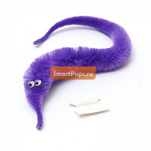    5 .        Fuzzy Worm       