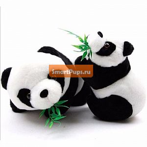  1 . 12  Baby Panda    Panda ,        