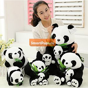  1 . 25      Panda    Panda     