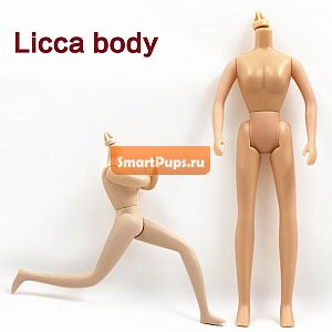     Licca  5 .  8          