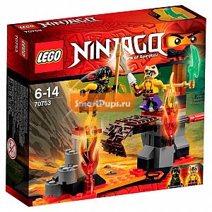 The LEGO Group LEGO Ninjago 70753   