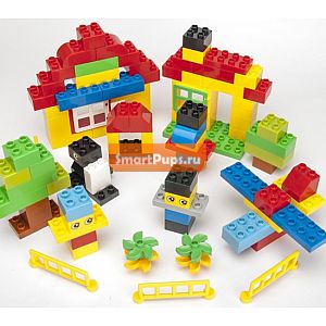  100 .            ,   Lego Duplo